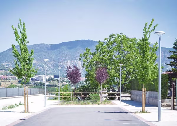 Citizen Clear - תמונת רקע