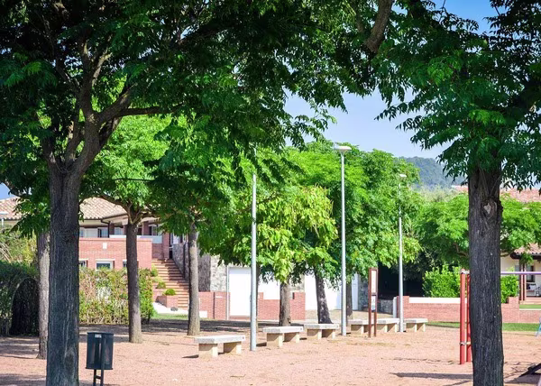 Citizen Clear - תמונה 2