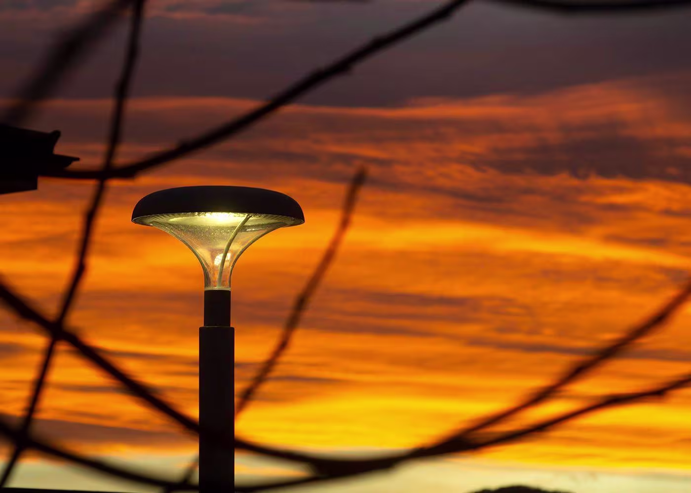 Citizen Comfort - תמונה 3