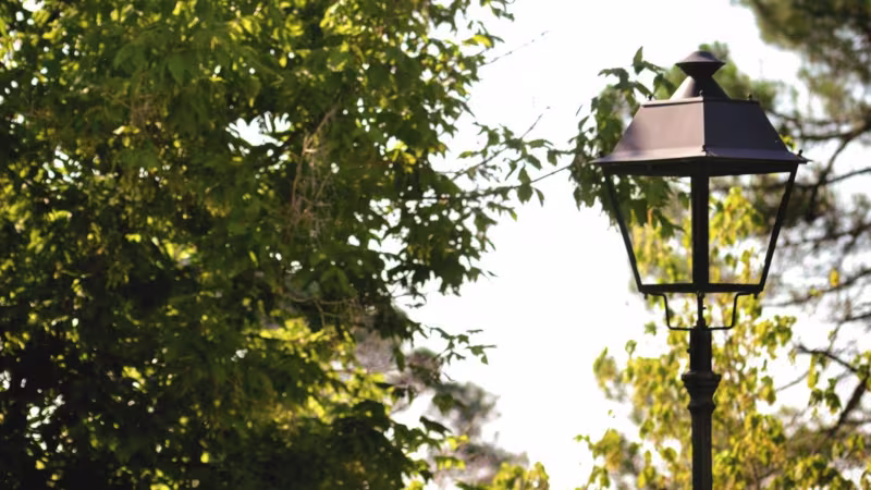 Neovilla Alu - תמונת רקע