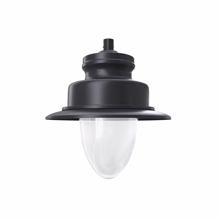 ZG-6139 Pendant Luminaires - תמונת רקע