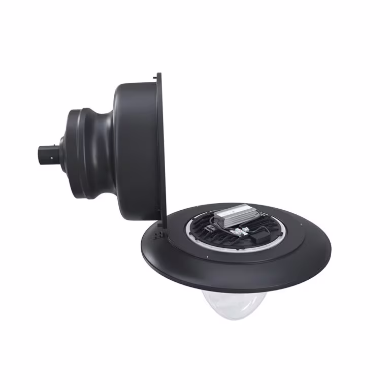 ZG-6139 Pendant Luminaires - תמונה 5