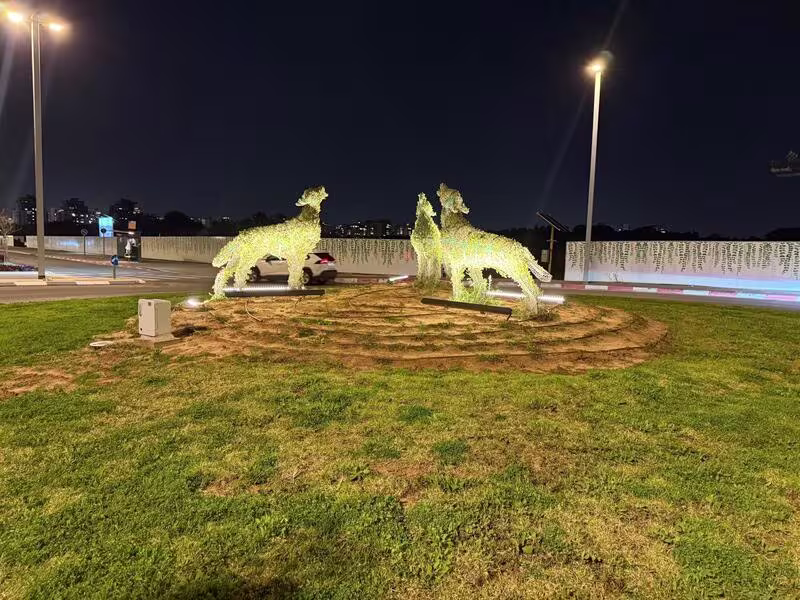 תמונה מספר 1 של פרויקט תאורה תאורת כיכרות הרצליה של חברת אלויק תאורה