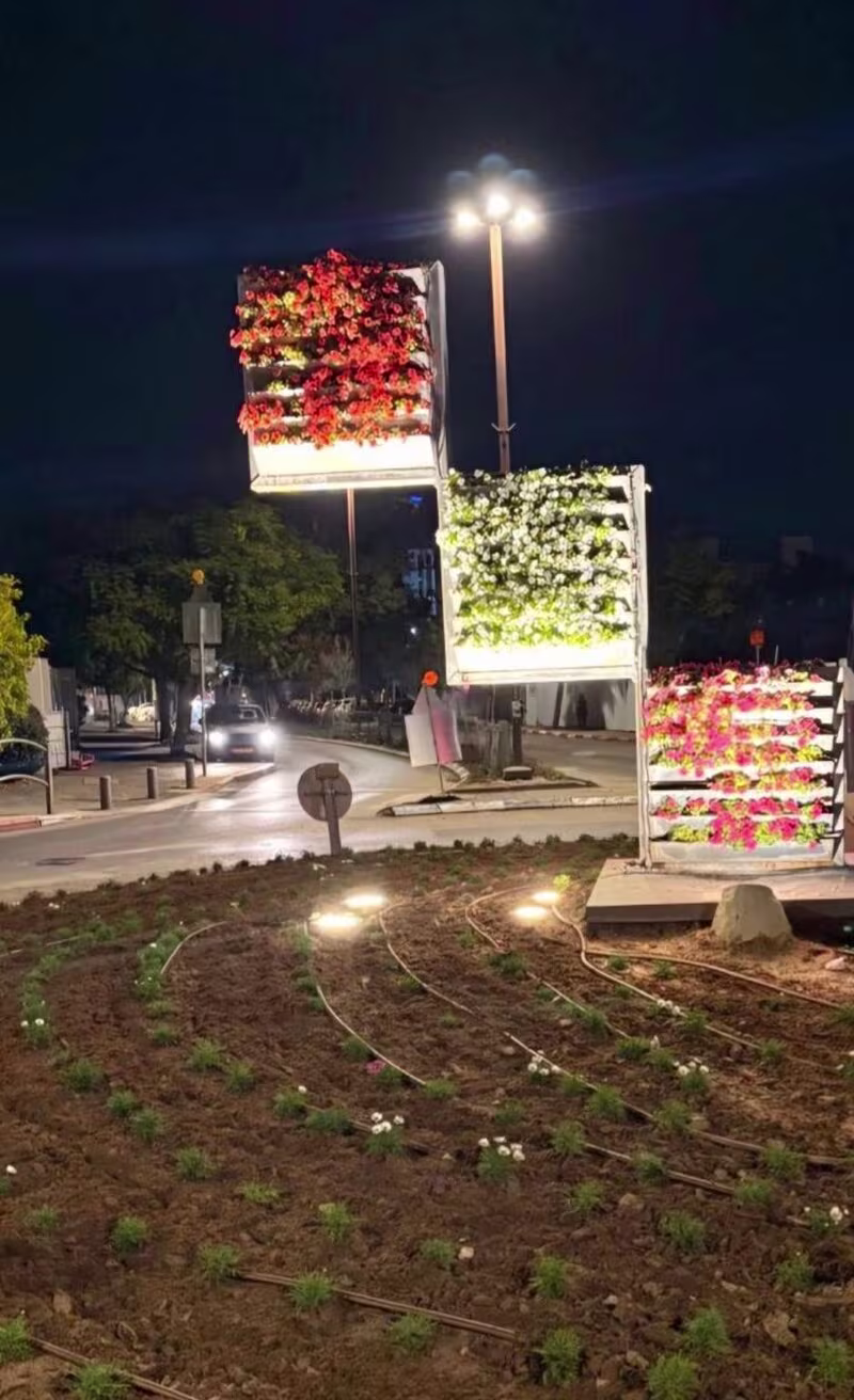 תמונה מספר 3 של פרויקט תאורה תאורת כיכרות הרצליה של חברת אלויק תאורה